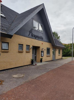 KragenæsHus, Torrig